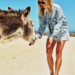 Z0ZR08891 Ice Women Coco Ho Denim Jacket Volcom Clothing