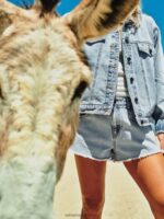 Z0ZR08913 Ice Women Coco Ho Denim Shorts Volcom Clothing